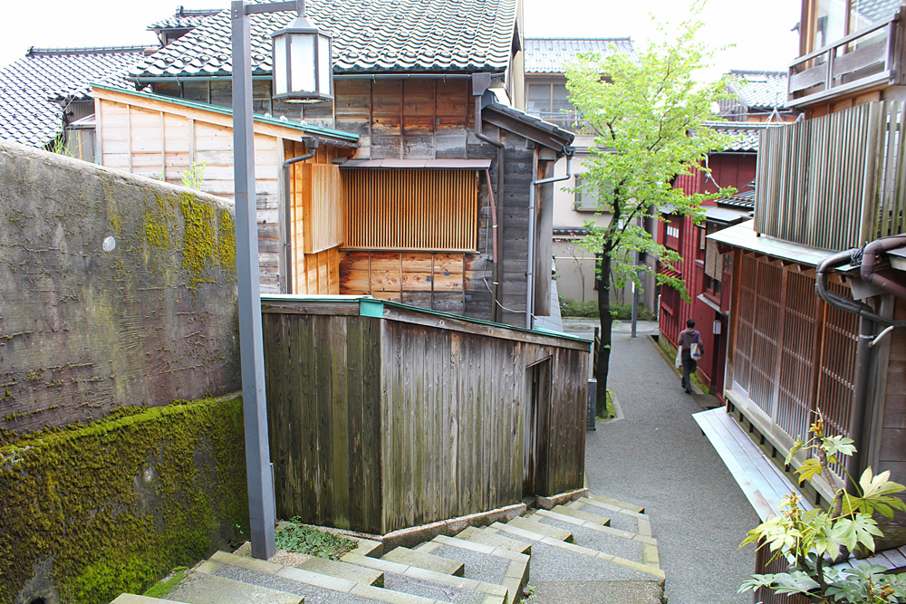 54a91274a186d