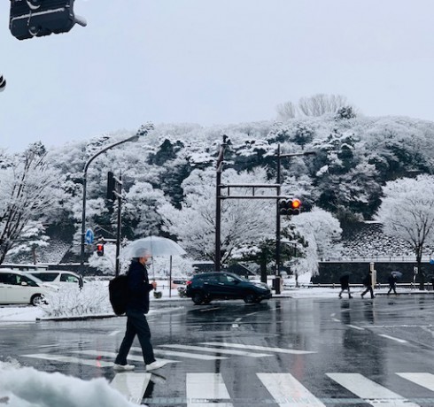 気になってた節分のはなし。